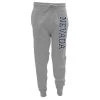 Blue 84 Nevada Wolf Pack AGOG Joggers Graphite