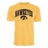 Blue 84 Iowa Hawkeyes Archie T-Shirt Grey Heather