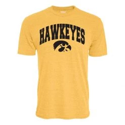 Blue 84 Iowa Hawkeyes Archie T-Shirt Grey Heather