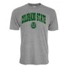 Blue 84 Colorado State Rams Archie T-Shirt Grey Heather