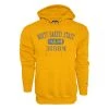 Blue 84 North Dakota State Bison Toolbelt Hoodie Gold